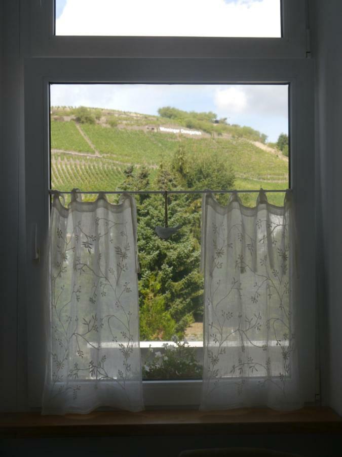 Altes Weingut Weinhaus Rebstock Apartment Winningen Exterior foto